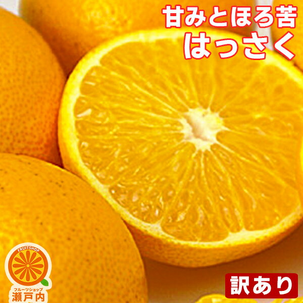 愛媛産 八朔 (はっさく) 10kg 訳あり【送料無料(一部地域除く)】不揃い 愛媛県産 八朔 家庭用 フルーツ 果物 くだもの 果実 お取り寄せグルメ コロナ お家時間応援 みかん 箱買い 蜜柑 柑橘類 かんきつ おやつ デザート 冬の味覚 産地直送