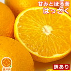 愛媛産 八朔 (はっさく) 10kg 訳あり【送料無料(一部地域除く)】不揃い 愛媛県産 八朔 家庭用 フルーツ 果物 くだもの 果実 お取り寄せグルメ コロナ お家時間応援 みかん 箱買い 蜜柑 柑橘類 かんきつ おやつ デザート 冬の味覚 産地直送