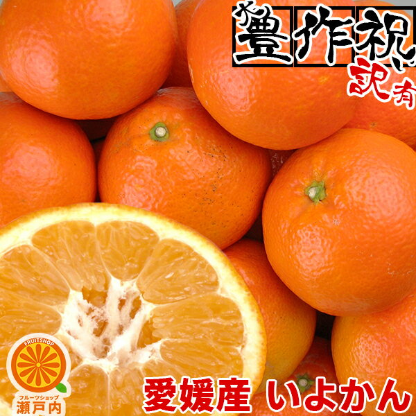 愛媛産 いよかん 10kg 訳あり・不揃い【送料無料(一部地域除く)】伊予柑 愛媛県産 フルーツ 果物 くだもの 果実 青果 食品ロス みかん 箱買い 蜜柑 お取り寄せグルメ コロナ お家時間応援 柑橘類 かんきつ おやつ デザート 冬の味覚 産地直送