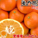 【買い回りに♪】愛媛産 いよかん 2kg 訳あり【2品で+2