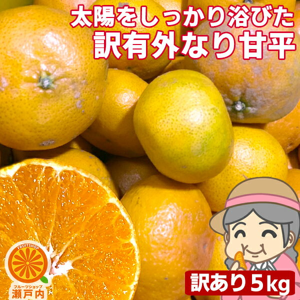 愛媛産 ご家庭用 農家さんもぐもぐ 外なり訳あり甘平 5kg(+約0.5kg多め)【送料無料(一部地域除く)】かんぺい 不揃い 傷 汚れ有 愛媛県産 フルーツ 美味しいみかん 箱買い 果物 くだもの お取り寄せグルメ 柑橘類 かんきつ 食品ロス コロナ おうち時間応援 産地直送