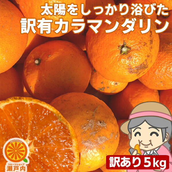 愛媛産 ご家庭用 農家さんもぐもぐ 外なり訳ありカラマンダリン 5kg(+約0.5kg多め)【送料無料(一部地域除く)】不揃い 傷 汚れ有 愛媛県産 フルーツ 美味しいみかん 箱買い 果物 くだもの 柑橘類 かんきつ 食品ロス コロナ おうち時間応援 産地直送