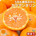 愛媛産 カラマンダリン 10kg 訳あり 不揃い【送料無料(一部地域除く)】愛媛県産 家庭用 フルーツ 旬の果物 くだもの 果実 食品 みかん 温州みかん カラ マンダリン 蜜柑 コロナ おうち時間応援 柑橘類 かんきつ おやつ デザート 春の味覚 産地直送