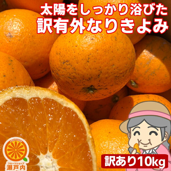 愛媛産 ご家庭用 農家さんもぐもぐ 外なり訳ありきよみ 10kg(+約0.5kg多め)【送料無料(一部地域除く)】清見タンゴール(清見オレンジ) 不揃い 傷 愛媛県産 フルーツ 美味しいみかん 箱買い 果物 くだもの 柑橘類 かんきつ 食品ロス コロナ おうち時間 産地直送