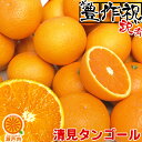 愛媛産 清見タンゴール 清見オレンジ 10kg 訳あり【送料無料 一部地域除く 】不揃い 愛媛県産 きよみ 家庭用 フルーツ 旬の果物 くだもの 果実 青果 食品 みかん 蜜柑 お取り寄せグルメ コロナ…