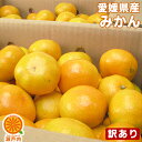 愛媛産 訳ありみかん 3kg【送料無料(一部地域除く)】【2...