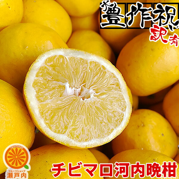 【買い回りに♪】愛媛産 チビマロ河内晩柑 3kg 訳あり【2品で+3kg(9kgセット) 3品で+6kg(15kgセット)】【送料無料(一部地域除く)】愛媛県産 和製グレープフルーツ かわうちばんかん 宇和ゴールド みしょうかん 美生柑 旬の果物 みかん 柑橘類 コロナ 在宅応援のサムネイル