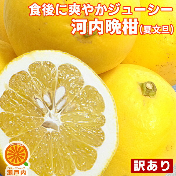 愛媛産 河内晩柑 10kg 訳あり【送料無料(一部地域除く)