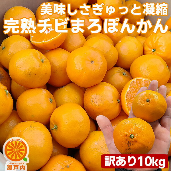 愛媛産 越冬完熟チビマロぽんかん 10kg 訳あり・不揃い【送料無料(一部地域除く)】愛媛県産 椪柑 ポンカンオレンジ デコポンの親品種 フルーツ 美味しいみかん 果物 くだもの かんきつ 食品ロス みかん 箱買い 蜜柑 柑橘類 コロナ おうち時間応援 産地直送