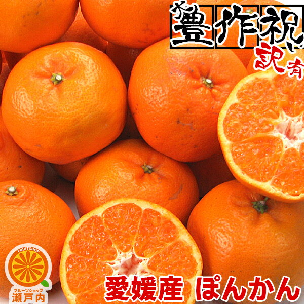 愛媛産 ぽんかん 20kg 訳あり・不揃い【送料無料(一部地域除く)】愛媛県産 椪柑 ポンカンオレンジ デコポンの親品種 フルーツ 美味しいみかん 果物 くだもの かんきつ 食品ロス みかん 蜜柑 柑橘類 コロナ おうち時間応援 産地直送