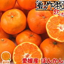 愛媛産 ぽんかん 5kg 訳あり 不揃い【送料無料(一部地域除く)】愛媛県産 椪柑 ポンカンオレンジ デコポンの親品種 フルーツ 美味しいみかん 果物 くだもの かんきつ 食品ロス みかん 箱買い お取り寄せグルメ 蜜柑 柑橘類 コロナ おうち時間応援 産地直送