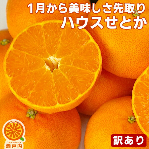 【買い回りに♪】愛媛産 ハウスせとか 1kg 訳あり・不揃い【2品で+1kg(3kgセット) 3品で+2kg(5kgセット)】【送料無料(一部地域除く)】愛媛県産 家庭用 フルーツ 果物 くだもの 食品 お試し コロナ お家時間応援 箱買い 蜜柑 せとかみかん 柑橘類 かんきつのサムネイル