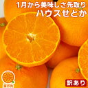 愛媛産 ハウスせとか 2kg 訳あり・不揃い【送料無料(一部地域除く)】愛媛県産 家庭用 フルーツ 果物 くだもの 果実 青果 食品 アウトレット みかん 箱買い 蜜柑 せとかみかん 柑橘類 かんきつ おやつ デザート 冬の味覚 産地直送