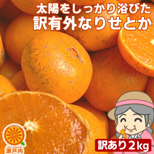 愛媛産 ご家庭用 農家さんもぐもぐ 外なり訳ありせとか 2kg(+約0.2kg多め)【送料無料(一部地域除く)】不揃い 傷 汚れ有 愛媛県産 家庭用 フルーツ 果物 くだもの 果実 食品 せとかみかん お試し 箱買い お取り寄せグルメ 蜜柑 柑橘類 かんきつ 産地直送