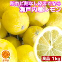 瀬戸内産 国産レモン 1kg 良品【送料無料 一部地域除く 】檸檬 lemon 防腐剤 防かび剤不使用 愛媛県産か広島県産 瀬戸内レモン 家庭用 フルーツ 果物 くだもの ミカン科 箱買い 柑橘類 お試し …