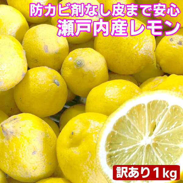 瀬戸内産 国産レモン 1kg 訳あり【2品で+1kg(3kgセット) 3品で+2kg(5kgセット)】【送料無料(一部地域除く)】檸檬 lem…