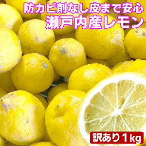 瀬戸内産 国産レモン 1kg 訳あり【2品で+1kg(3kgセット) 3品で+2kg(5kgセット)】【送料無料(一部地域除く)】檸檬 lemon 防腐剤 防かび剤不使用 愛媛県産か広島県産 瀬戸内レモン 家庭用 フルーツ 果物 くだもの ミカン科 箱買い 柑橘類 お試し コロナ