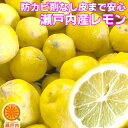 瀬戸内産 国産レモン 4kg 訳あり 不揃い檸檬 防腐剤 防かび剤不使用 愛媛県産または広島県産 家庭用 レモン果汁 フルーツ 果物 くだもの 果実 みかん科 蜜柑 柑橘類 lemon お菓子作り レモンサワー コロナ おうち 食品 かんきつ