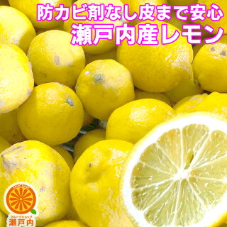 瀬戸内レモン
