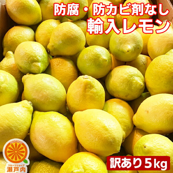 【クール便】防腐剤不使用 チリ・南アフリカ産 レモン 5kg 【送料無料(一部地域除く)】輸入レモン 防カビ剤不使用 檸檬 レモン果汁 フルーツ 果物 くだもの 果実 みかん科 蜜柑 柑橘類 lemon お菓子作り レモンサワー コロナ おうち時間応援 かんきつのサムネイル