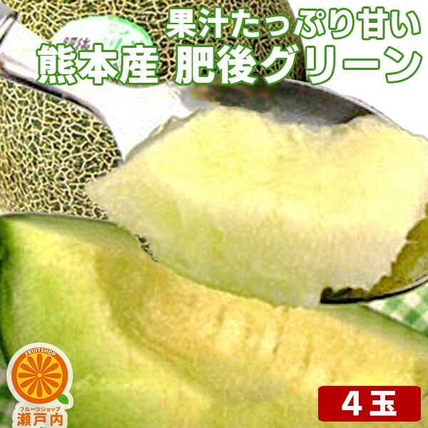 熊本産 肥後グリーンメロン 4個入【5月下旬発送予定】【送料無料(一部地域除く)】熊本県産 家庭用 フルーツ 旬の果物 くだもの 果実 青果 食品ロス コロナ ステイホーム おうち時間応援 おやつ デザート 夏の味覚