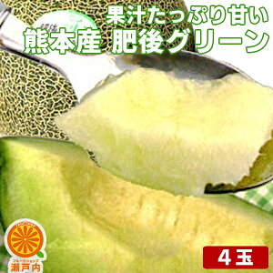 熊本産 肥後グリーンメロン 4個入【5月下旬発送予定】【送料無料(一部地域除く)】熊本県産 家庭用 フルーツ 旬の果物 くだもの 果実 青果 食品ロス コロナ ステイホーム おうち時間応援 おやつ デザート 夏の味覚