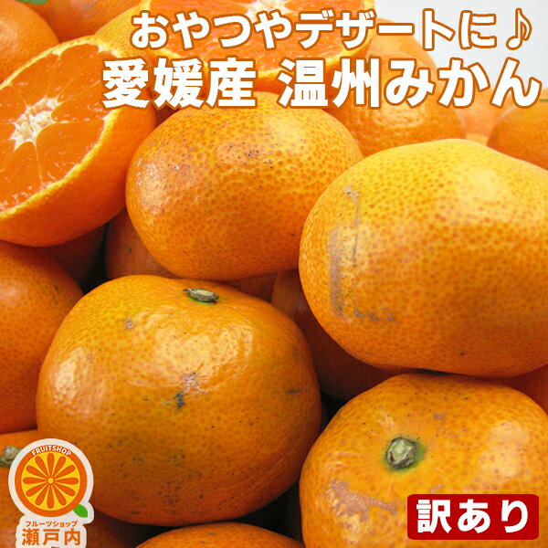 たっぷり3kg! 1kgで426円 3営業日出荷！愛媛産 温州みかん 3kg 訳あり・不揃い【2品で+3kg(9kgセット) 3品で+6kg(15kgセット)】【送料無料(一部地域除く)】 愛媛県産 フルーツ 果物 ご家庭用 くだもの 青果 食品 みかん 柑橘類 かんきつ おやつ デザート 冬の味覚 産地直送