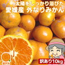 ドーンと10.5kg！1kgで255円 愛媛産 ご家庭用 農家さんもぐもぐ 外なり訳ありみかん 10 ...