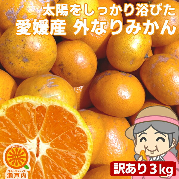 【買い回りに♪】愛媛産 ご家庭用 農家さんもぐもぐ 外なり訳ありみかん 3kg(+約0.2kg多め)不揃い 汚れ有 愛媛県産 フルーツ 美味しいみかん 箱買い 果物 くだもの お試し 温州みかん 蜜柑 柑橘類 かんきつ 食品 コロナ産地直送