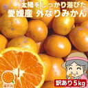 たっぷり5.5kg！愛媛産 ご家庭用 農家さんもぐもぐ 外な