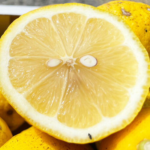 Ȥ⤰⤰񻺥 1kg 2ʤ+1kg(3kgå) 3ʤ+2kg(5kgå)̵ۡ(ϰ)ݦݨ lemon  ɤӺԻ ɲ縩   ե롼 ʪ  ߥ Ȣ㤤   