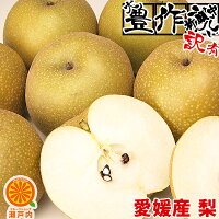 愛媛産 梨 4kg 訳あり不ぞろい 不選別 ご自宅用に最適 和梨 なし フルーツ 果物 くだもの 果実 青果 食品ロス おやつ デザート 秋の味覚 コロナ おうち時間応援 産地直送