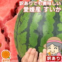もぐもぐ すいか 1玉 約4kg~6kg 訳あり【送料無料(一部地域除く)】不揃い 家庭用 スイカの日 西瓜 フルーツ 果物 くだもの 果実 青果 食品ロス おやつ デザート コロナ おうち時間応援 夏の味覚