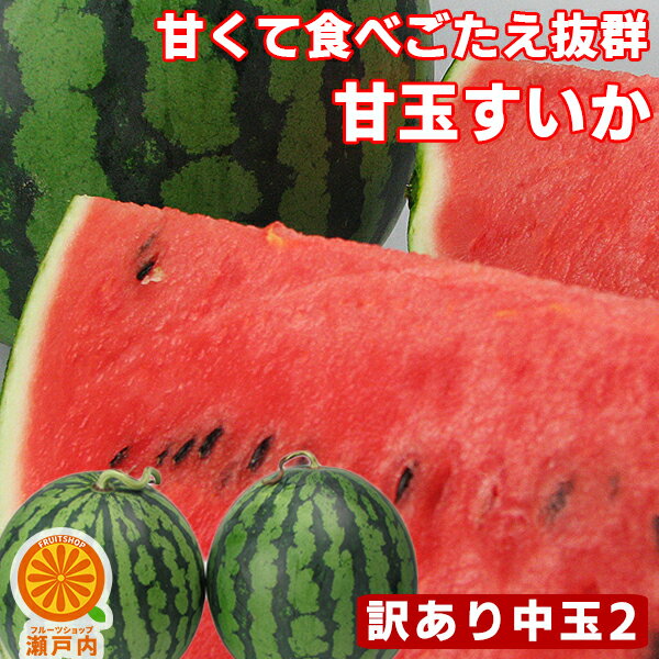 愛媛産 夏だ！甘玉すいか 2玉 約8kg 中玉(4〜5kg)×2 訳あり【7月中旬発送予定】【送料無料(一部地域除く)】 不揃い スイカの日 西瓜 フルーツ 果物 くだもの 果実 青果 食品ロス おやつ デザート コロナ おうち時間応援 夏の味覚 産地直送