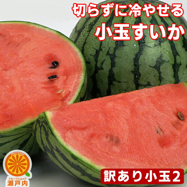 愛媛産 切らずに冷やせる！完熟小玉すいか2玉 一玉(1.3〜2kg)×2 訳あり【送料無料(一部地域除く)】不揃い 愛媛県産 スイカの日 西瓜 フルーツ 果物 くだもの 果実 青果 食品ロス おやつ デザート コロナ おうち時間応援 夏の味覚 産地直送