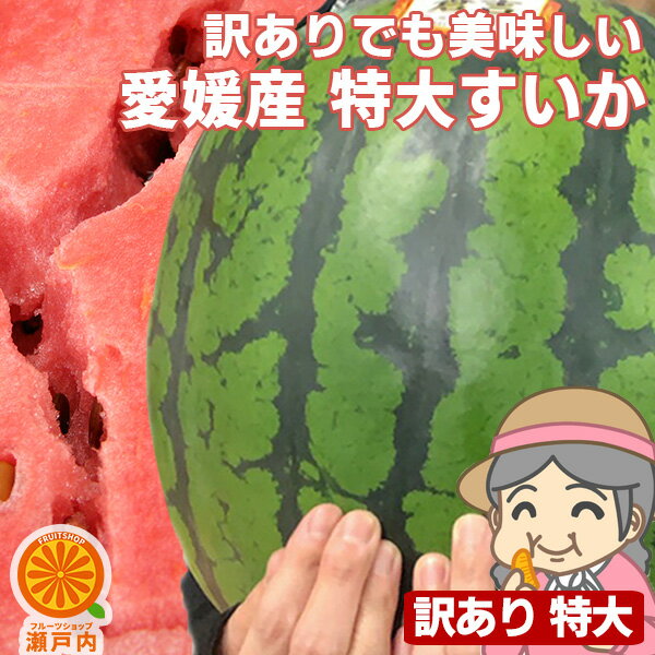 もぐもぐ 特大すいか 1玉 約8kg〜10kg 訳あり【送料無料(一部地域除く)】不揃い 家庭用 スイカの日 西瓜 フルーツ 果物 くだもの 果実 青果 食品ロス おやつ デザート コロナ おうち時間応援 夏の味覚