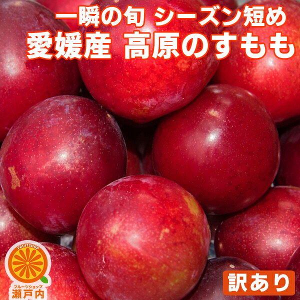 愛媛産 高原のすもも 訳あり 約2.8kg【クール便送料無料(一部地域除く)】不揃い 愛媛県産 スモモ 李 酢桃 プラム フルーツ 旬の果物 くだもの 家庭用 果実 青果 食品ロス おやつ デザート コロナ おうち時間応援 夏の味覚 産地直送