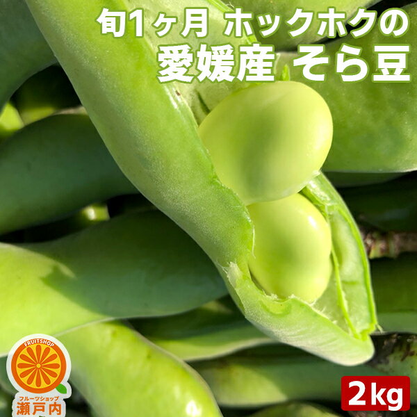 愛媛産 そら豆 2kg サヤ付き 【送料