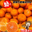 愛媛産 特に訳ありみかん【送料無料(一部地域除く)】5kg(+約0.5kg多め)不揃い 傷 汚れ有 なつみ カラマンダリン フルーツ 美味しいみかん 果物 くだ...