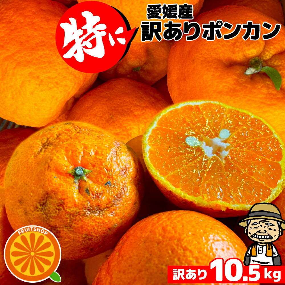 酸っぱうま～い♪ 愛媛県産　特に訳ありぽんかん 10.5kg 不揃い【送料無料(一部地域除く)】愛媛県産 椪柑 ポンカンオレンジ デコポンの親品種 フルーツ 美味しいみかん 果物 くだもの かんきつ 食品ロス みかん 箱買い 蜜柑 柑橘類 コロナ おうち時間応援 産地直送