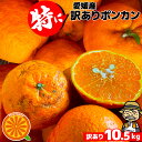 愛媛県産 特に訳ありぽんかん 10.5kg 不揃い【送料無料(一部地域除く)】愛媛県産 椪柑 ポンカンオレンジ デコポンの親品種 フルーツ 美味しいみかん 果物 くだもの かんきつ 食品ロス みかん 箱買い 蜜柑 柑橘類 コロナ おうち時間応援 産地直送