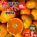 酸っぱうま~い♪愛媛産 特に訳あり甘平 5kg(+約0.5kg多め)【送料無料(一部地域除く)】かんぺい 不揃い 傷 汚れ有 愛媛県産 フルーツ 美味しいみかん 箱買い 果物 くだもの お取り寄せグルメ 柑橘類 かんきつ 食品ロス コロナ おうち時間応援 産地直送