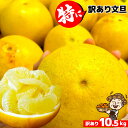 愛媛、高知県産 特に訳あり文旦10.5kg 不揃い【送料無料(一部地域除く)】愛媛県産 椪柑 ぶんたん ブンタン パール柑 フルーツ 美味しいみかん 果物 くだ...