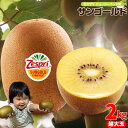 ゼスプリ(大玉サイズ)サンゴールドキウイ 2kg【送料無料(一部地域除く)】秀品 フルーツ 旬の果物 くだもの 果実 青果 食品ロス コロナ ステイホーム おう...
