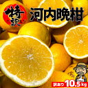 愛媛産 特に訳あり河内晩柑10kg +約0.5kg多め 【送料無料 一部地域除く 】不揃い 傷 汚れ有 みしょうかん・グレープフルーツ 規格外品 愛媛県産 家庭用 フルーツ 果物 くだもの 果実 食品 みか…