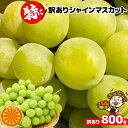 愛媛産 特に訳ありシャインマスカット 約800g~1.0kg (目安1~4房) 2セットご購入で1箱おまけ♪合計3箱【送料無料(一部地域除く)】フルーツ 葡萄 皮ごと食べれる 種なしぶどう 果物 くだもの 果実 青果 食品ロス ブドウ おやつ デザート