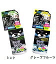 ひんやりシャツシャワー ストロング (ミント・グレープフルーツ)選べる2種の香り 500mlx1個 猛暑撃退 暑さ対策(4)