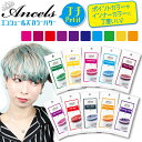 【楽天1位 クーポン利用でオトク】カラーバター プチ お試し エンシェールズ ヘアカラー トリートメント カラーリング 母の日 プレゼント 髪染め セルフカラー 青 ピンク オレンジ アッシュ20g