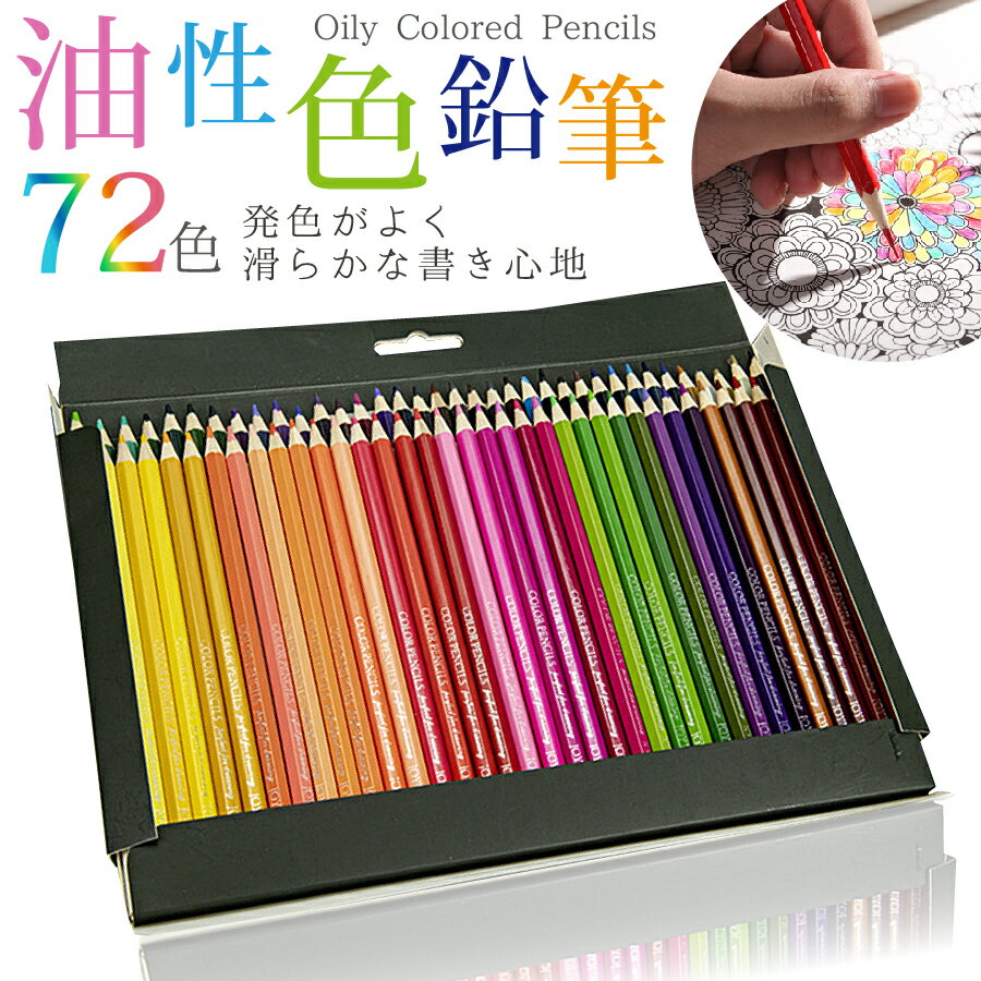 【最大2000円OFFクーポン 5/9 20:00～5/16 1:59】ファーバーカステル PITTパステル鉛筆 色鉛筆 112112 FABER CASTELL プロ 塗り絵 筆記用具 12色