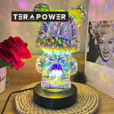 ledライト 花火のクマの装飾ランプ USB LED ムードライト 子供部屋のギフト 韓国インテリア パーティー